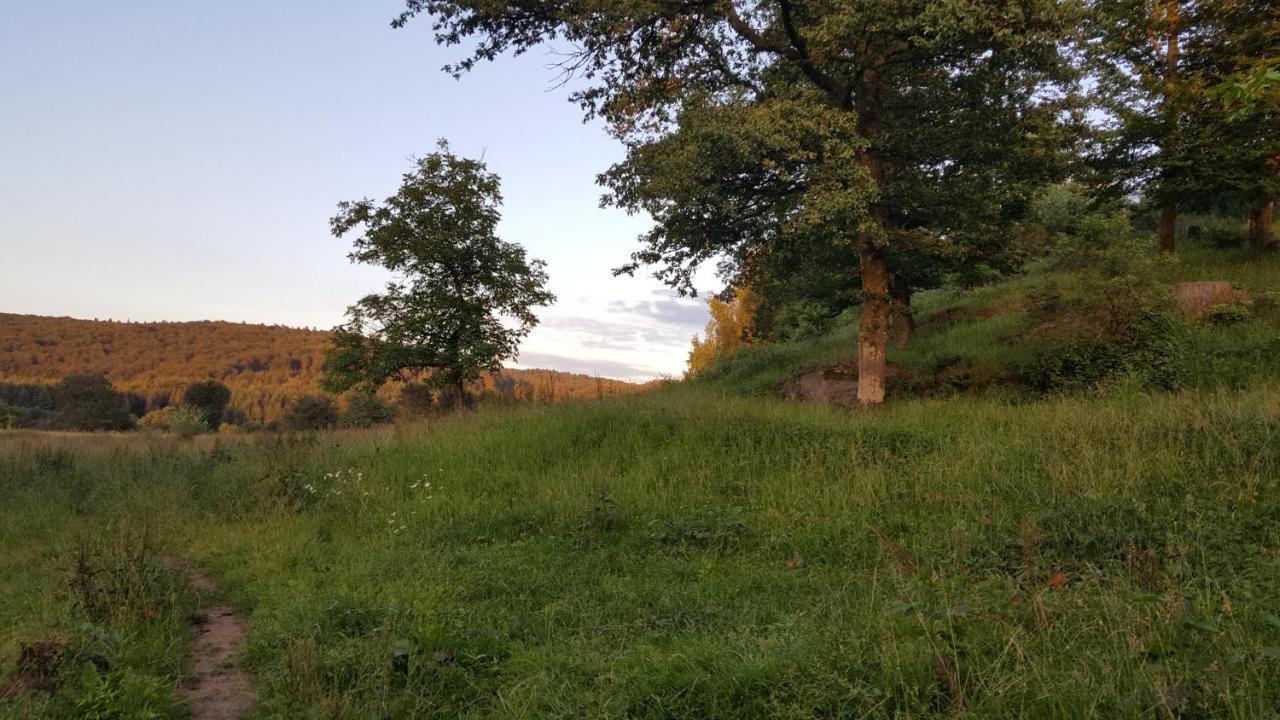 Ma Roulotte Sous Les Chenes- Au Naturel Raon-aux-Bois 外观 照片