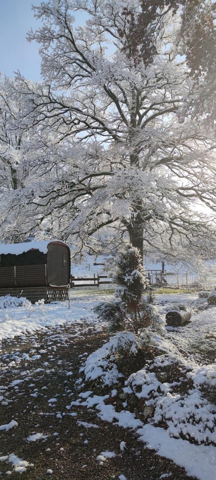 Ma Roulotte Sous Les Chenes- Au Naturel Raon-aux-Bois 外观 照片